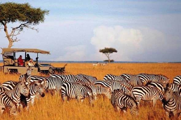 Kenya-Safari a oddych na pláži